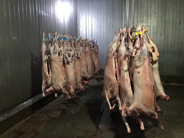 حرکت به سمت صنعتی شدن کشتارگاههای دام رویکرد دولت سیزدهم است