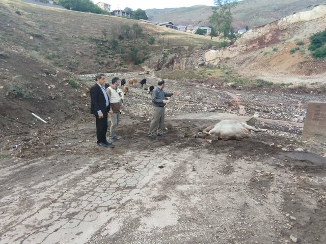 بروز سیل و طغیان رودخانه در چهار روستای بخش کجور / بروز خسارت مالی به دامها و اراضی کشاورزی