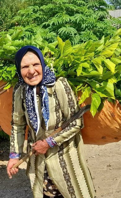 از جاده ابریشم تا لفور