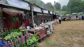 بزرگترین بازارچه محلی تولیدات زنان روستایی آمل گشایش یافت