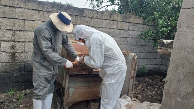 آغاز طرح پایش سرمی آنفلوانزای فوق حاد پرندگان در مازندران