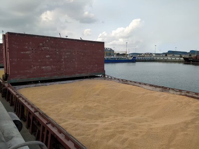 رشد ۵۱ درصدی ترخیص نهادههای دامی از بنادر سهگانه استان مازندران