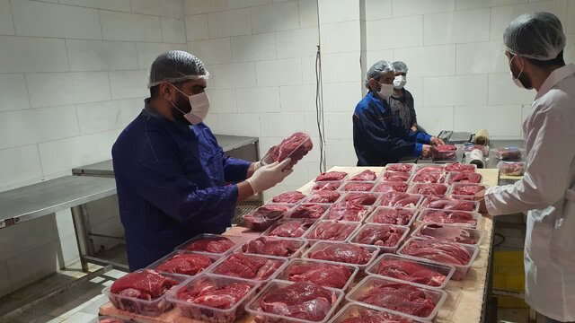 بیش از ۶ میلیون ۵۹۳ خدمات رایگان جهت مدیریت بیماریهای دامی ثبت شد