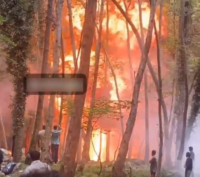 انفجار و حریق در جنگلهای مازندران به بهانه ساخت فیلم!