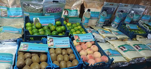 افزایش ظرفیت فرآوری محصولات کشاورزی در سیستان و بلوچستان افزایش ظرفیت فرآوری محصولات کشاورزی در سیستان و بلوچستان