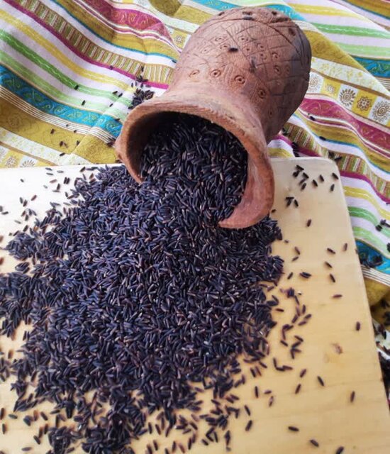اهمیت مصرف برنج رنگی سبوسدار در سفره ایرانی