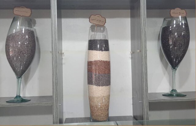 اهمیت مصرف برنج رنگی سبوسدار در سفره ایرانی