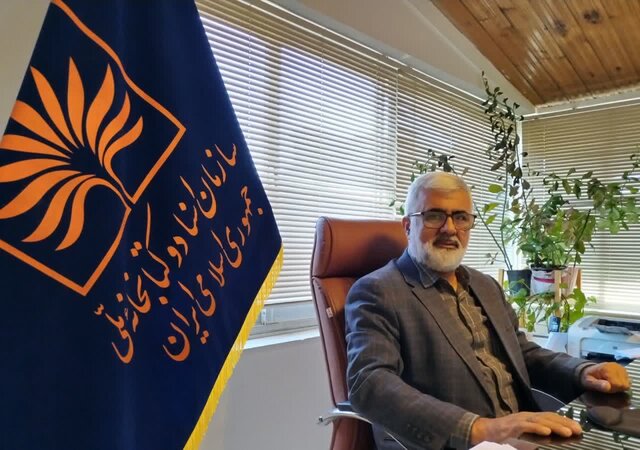 ساختارهای پدرسالارانه و نقشهای جنسیتی، موانع کنشگری زنان در تاریخ