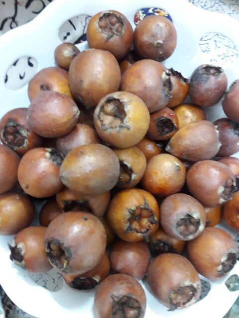 برگزاری آیین سنتی «تیرما سیزّه شو» در بابل