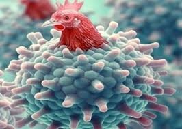 تاکنون نمونه آنفلوانزای فوق حاد پرندگان در شهرستان نور مشاهده نشد