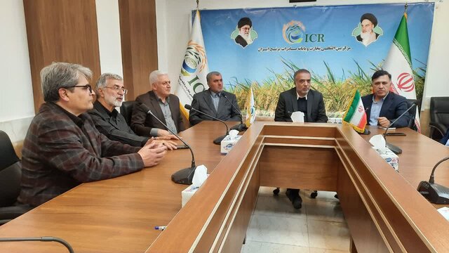 برنج مازندران با سامانه پرتودهی هستهای یک گام تا افزایش ماندگاری