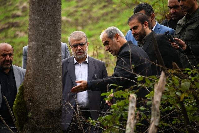 رسیدگی به پرونده متخلفان حوزه منابع طبیعی در محاکم قضایی مازندران