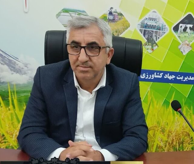 چه عواملی سبب کم رونقی بازار صادرات کشاورزی مازندران میشود