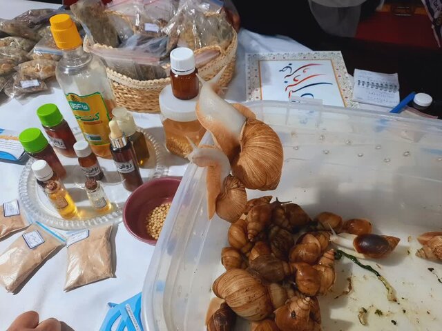 نهمین فنبازار و نمایشگاه دستاوردهای شرکتهای فناور و دانشبنیان مازندران برگزار شد