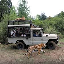 توضیحات حفاظت محیط زیست مازندران در خصوص پارک حیاتوحش الیمالات نور