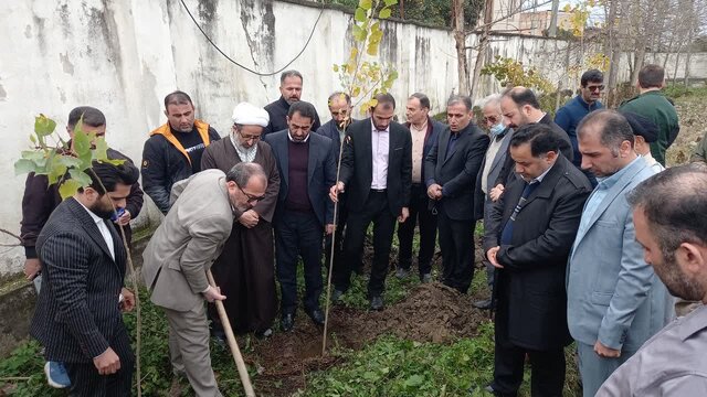 گسترش «سایه مهر مادری» با کاشت درخت