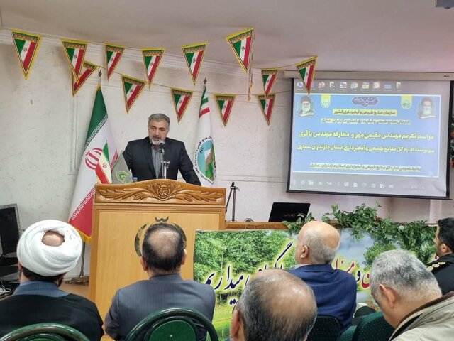 یکسوم درختان دنیا در معرض نابودی هستند