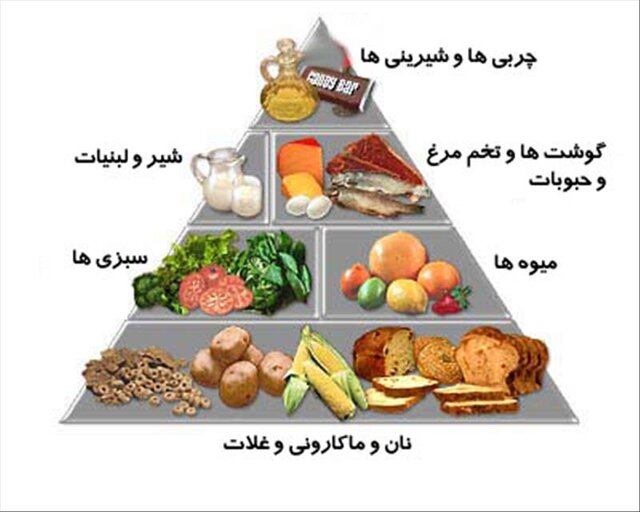 نکات طلایی تغذیه ای برای موثر شدن ورزش نکات طلایی تغذیه ای برای موثر شدن ورزش