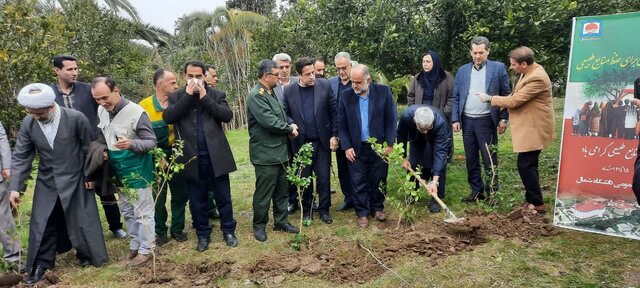 دانشجویان و مسئولان آملی با پیام «همدلی برای حفظ منابع طبیعی» نهال کاشتند