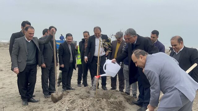 کاشت نهال در قالب پویش «آسنی» در غرب مازندران کاشت نهال در قالب پویش «آسنی» در غرب مازندران