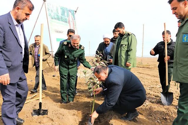 کاشت یک میلیون نهال توسط بسیج مازندران تا اردیبهشت ۱۴۰۴