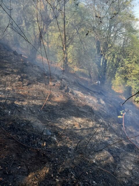 آتشسوزی ارتفاعات «مانشت» مهار شده است آتشسوزی ارتفاعات «مانشت» مهار شده است
