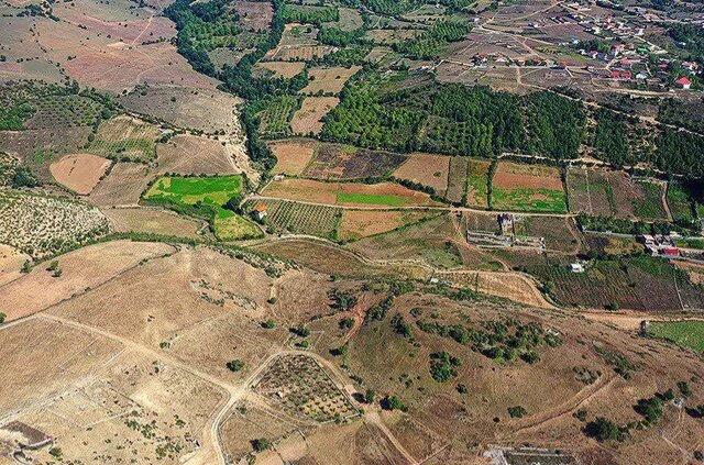 عکس از ولی شجاعی خلع ید و رفع تصرف بیش از ۲ هزار متر از اراضی ملی در نوشهر