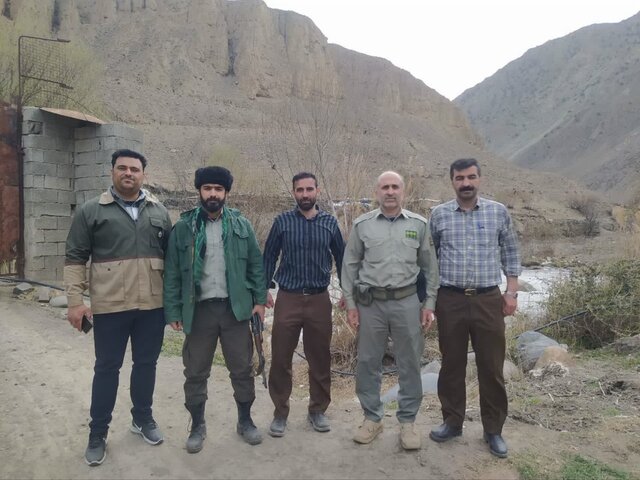 پرونده قضایی برای عامل قطع ۷۰ اصله درخت بید در آمل