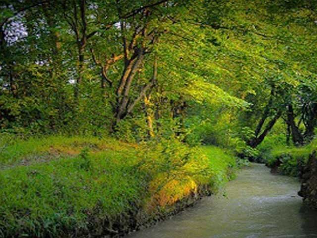 «قائمشهر» شهری با جاذبههای گردشگری بینظیر در مازندران