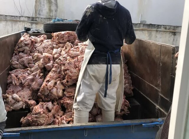 افزایش ۱۰ درصدی بازدید در طرح تشدید نظارت بهداشتی