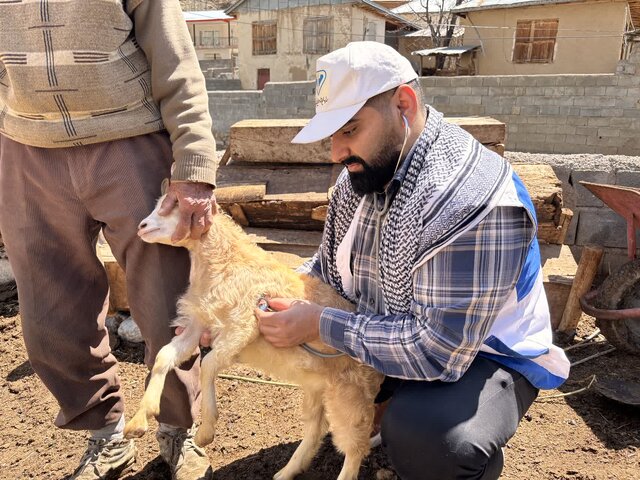 واکسیناسیون حدود ۴۵ هزار دام در روستاهای محروم شهرستان آمل