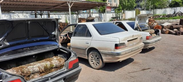 پوشش خانوادگی، حربه جدید قاچاقچیان چوب