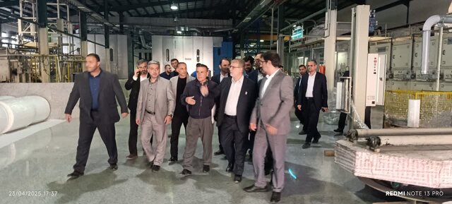 بانکها نباید بنگاه داری کنند