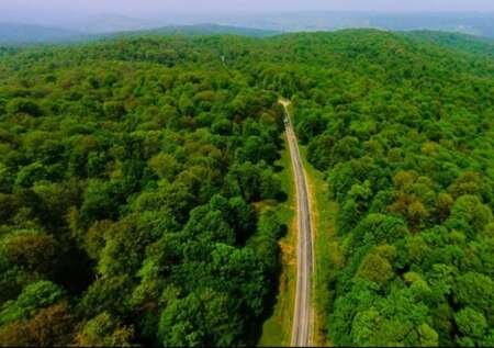 سایه شوم معدن کاری در قلب جنگلهای هیرکانی