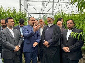 درباره استمهال تسهیلات به کشاورزان کمک شود