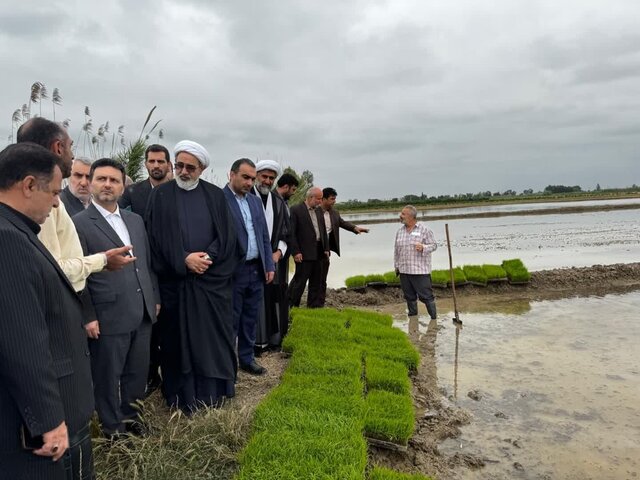 درباره استمهال تسهیلات به کشاورزان کمک شود