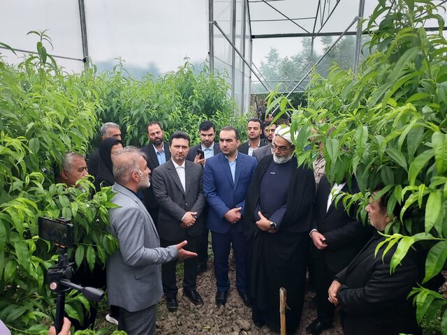 درباره استمهال تسهیلات به کشاورزان کمک شود