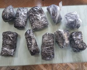 کشف ۸۴ کیلوگرم تریاک در شاهرود