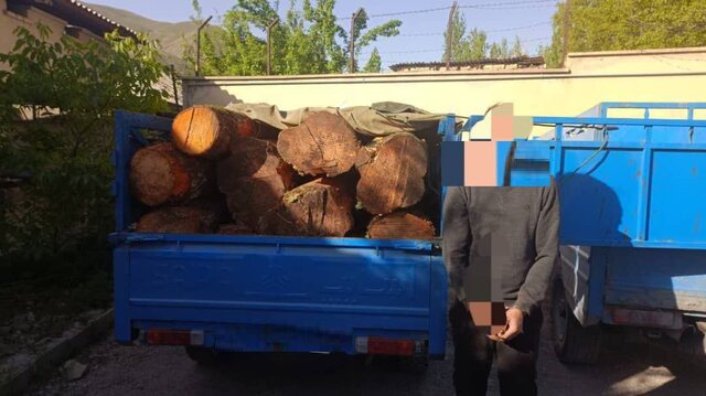 کشف ۳۰۰ کیلوگرم گوشت گراز تا مقابله با مزاحمان خیابانی در مازندران