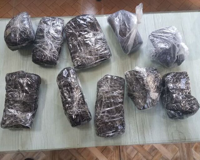 کشف ۳۰۰ کیلوگرم گوشت گراز تا مقابله با مزاحمان خیابانی در مازندران