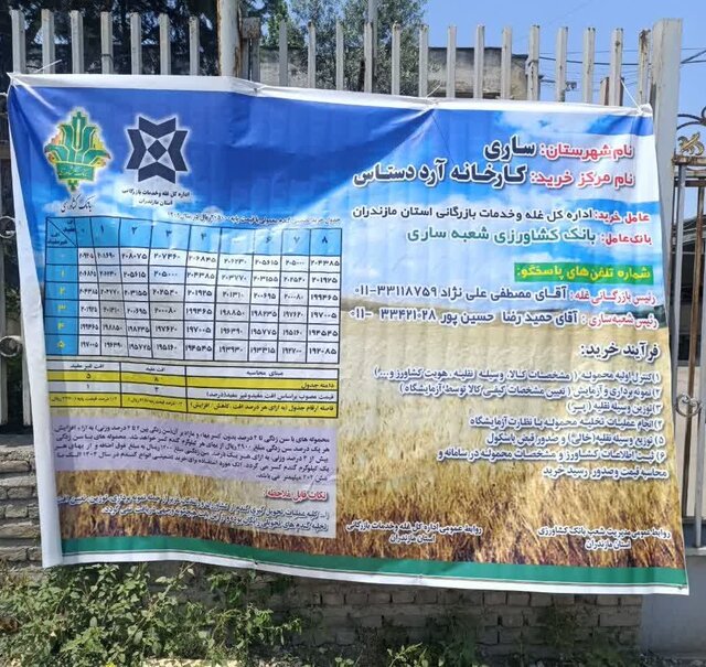 آغاز خرید تضمینی گندم در مازندران