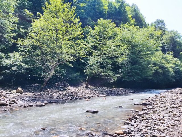 «آبشار اِسکِلیم»؛ نگین پنهان جنگلهای هیرکانی