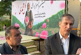 صادرات محصولات کشاورزی سالانه بیش از ۸ میلیارد دلار ارزآوری دارد
