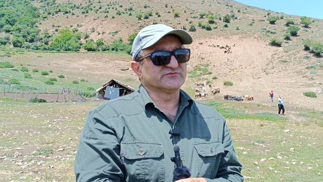 «قرق شکنی» رسمی دیرینه در دل مراتع البرز مرکزی