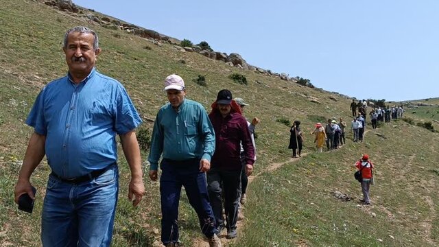 «قرق شکنی» رسمی دیرینه در دل مراتع البرز مرکزی