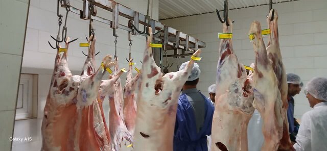 کنترل و پیشگیری از بیماریهای ویروسی در صنعت دامپروری