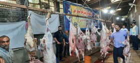 «قربونی سری»، روایت  سفره‌ای به رنگ بخشش و همدلی