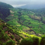 ناپایداری جوی در مازندران؛ آرامش نسبی هوا در میانه هفته