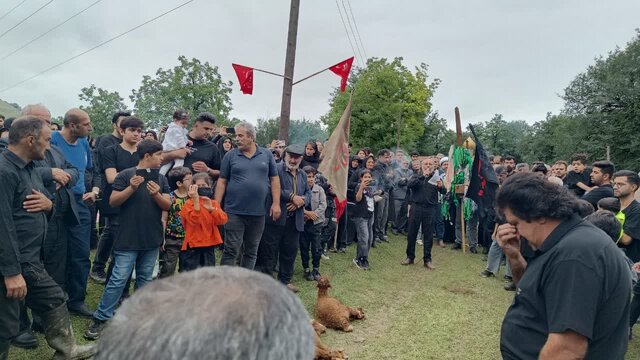 سنت ۳۰۰ ساله عزاداری در امامزاده ماهرو با آئین «سلام دادن علم» زنده است