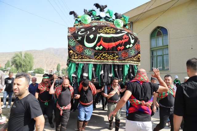 《نخل گردانی》 سنتی دیرینه در کجور 